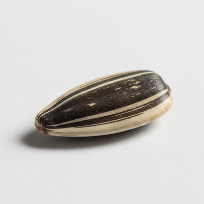 Sunflower Seeds